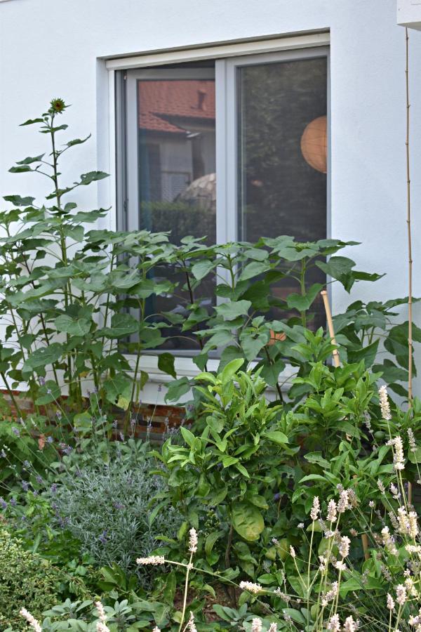 Postaja 33 Apartment Zgornje Skofije ภายนอก รูปภาพ